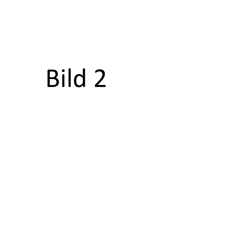Eine Darstellung eines Allrounders der viel Können unter Beweis stellt.